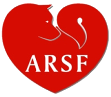 Akita Rescue Society of Florida Logo