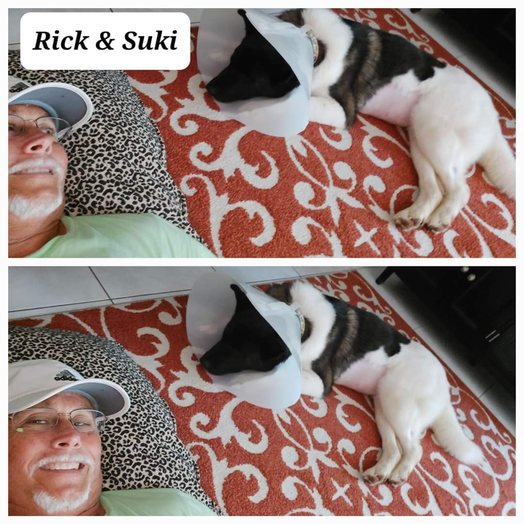 Suki Photo