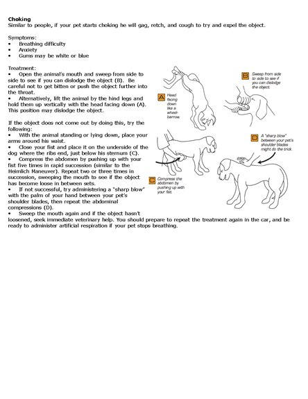 Pet Heimlich Maneuver Reference