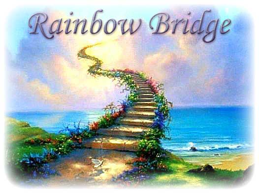 Rainbow Bridge Photo
