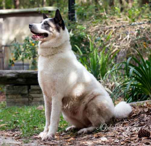 Keiko Photo
