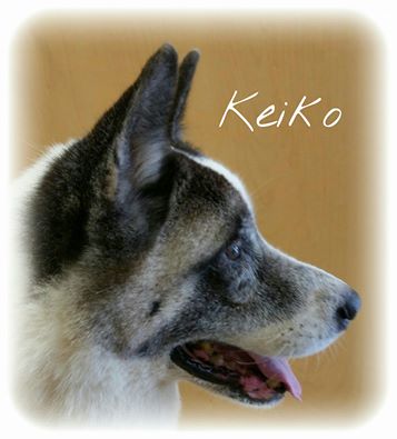 Keiko Photo