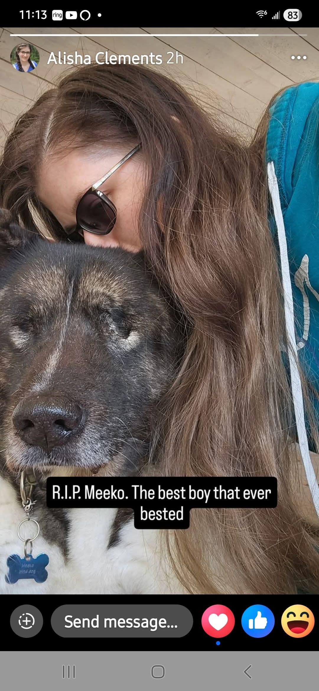 Meeko Photo