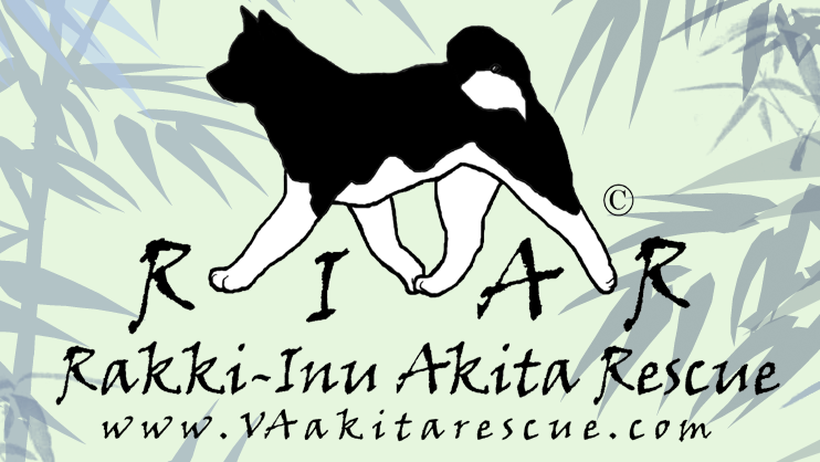 Rakki Inu Akita Rescue Link