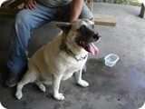 DSCN0590