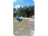 FB_IMG_1429402295731