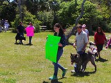 2016-04-10 15.12.52-1