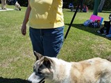 FB_IMG_1460307119044