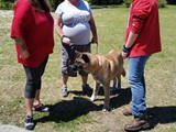 FB_IMG_1460307138513