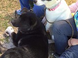 FB_IMG_1460307582813