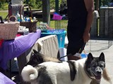 FB_IMG_1460335097941