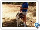 IMG_20170401_160041542
